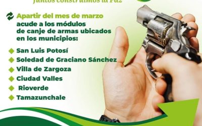 CONSEJO DE SEGURIDAD INVITA A APROVECHAR CAMPAÑA DE CANJE DE ARMAS