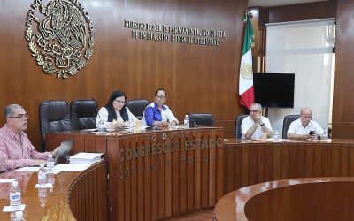 LA COMISIÓN DE DESARROLLO TERRITORIAL SUSTENTABLE DEL CONGRESO DEL ESTADO TRABAJARÁ EN LA DEFINICIÓN DEL POLÍGONO PARA ESTABLECER LA SUPERFICIE DE VILLA DE POZOS