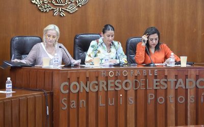 EN COMISIONES SE APROBARON LOS DICTÁMENES QUE MODIFICAN A LA LEY PARA LA INCLUSIÓN DE LAS PERSONAS CON DISCAPACIDAD EN EL ESTADO Y MUNICIPIOS DE SAN LUIS POTOSÍ, Y LA LEY DE SALUD MENTAL DEL ESTADO