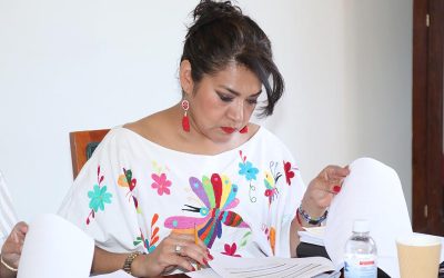 PROPONEN QUE UNA REPRESENTANTE DEL IMES SE INTEGRE AL CONSEJO ESTATAL DE TRANSPORTE: DIP EMMA IDALIA SALDAÑA GUERRERO