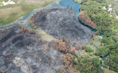 GOBIERNO DEL CAMBIO RECUPERARÁ ESPACIOS NATURALES EN LA ZONA MEDIA