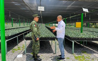 FIRMAN CONVENIO SEGAM Y SEDENA PARA REFORESTAR SLP