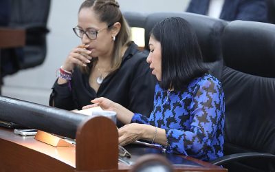 DIPUTADAS BERNARDA REYES Y LILIANA FLORES EXHORTAN A CUMPLIR UNA PLENA REPRESENTACIÓN DE LOS PUEBLOS INDÍGENAS