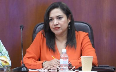 EL GOBIERNO FEDERAL DEBE LIBERAR LOS RECURSOS DE PARTICIPACIÓN PARA LAS ENTIDADES FEDERATIVAS: DIP. EMMA IDALIA SALDAÑA GUERRERO