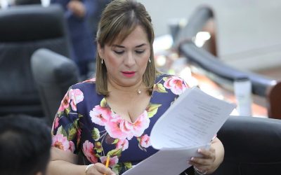 ANTE LAS ALTAS TEMPERATURAS SE DEBEN EXTREMAR LAS MEDIDAS DE PREVENCIÓN PARA EVITAR DAÑOS A LA SALUD DE LA POBLACIÓN: DIP. YOLANDA JOSEFINA CEPEDA ECHAVARRÍA