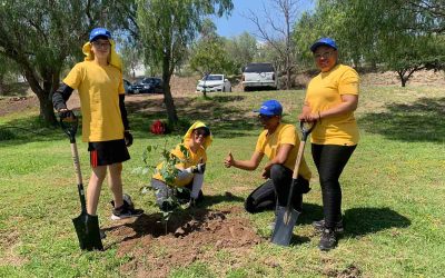 GOBIERNO DEL CAMBIO REFORESTA PARQUE TANGAMANGA I