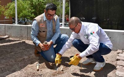 GOBIERNO DEL CAMBIO Y UASLP PLANTARÁN UN MILLÓN DE CACTÁCEAS