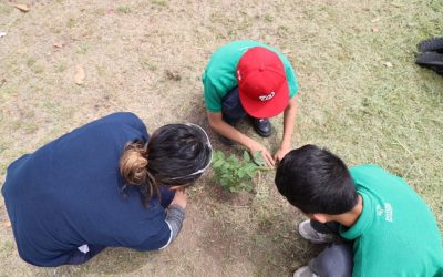 ESTADO E INICIATIVA PRIVADA REFORESTAN CENTRO DE ASISTENCIA SOCIAL