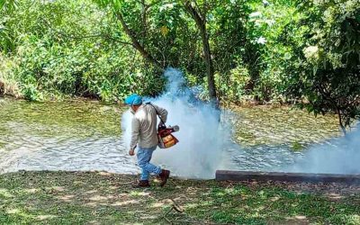 GOBIERNO ESTATAL INTENSIFICA ACCIONES PREVENTIVAS CONTRA DENGUE