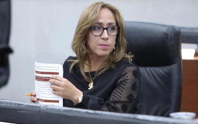 ES POSITIVO EL PROYECTO DE INVERTIR EN LA AMPLIACIÓN DE LOS AEROPUERTOS DE MATEHUALA Y TAMUÍN: DIP. LILIANA GUADALUPE FLORES ALMAZÁN