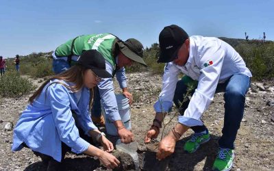 GOBIERNO ESTATAL DONARÁ 20 MIL ARBOLITOS DURANTE LA FENAPO 2023