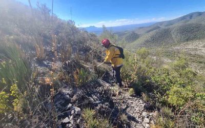 GOBIERNO DEL ESTADO APOYA EN COMBATE DE INCENDIO FORESTAL EN MATEHUALA