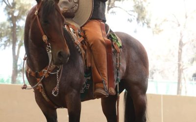 RG2 SE COLOCÓ EN LA FINAL DEL TORNEO CHARRO DE LA FENAPO 2023