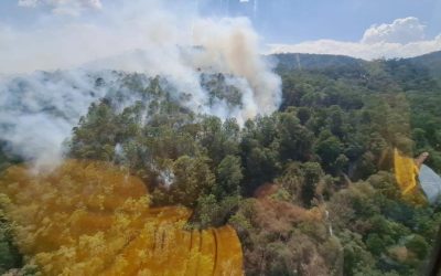 GOBIERNO POTOSINO BRINDA APOYO OPORTUNO CONTRA INCENDIO EN LÍMITES CON GUANAJUATO