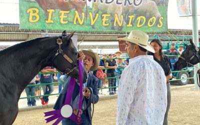 FENAPO LOGRA ÉXITO EN MUESTRA DE CABALLOS CUARTO DE MILLA