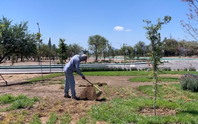 GOBIERNO DEL ESTADO AMPLÍA MEJORAS EN PARQUE “LAS CAMELIAS”