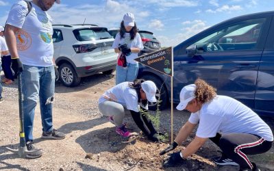 GOBIERNO ESTATAL IMPULSA PROYECTO DE REFORESTACIÓN EN SOLEDAD