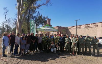 GOBIERNO DEL APOYO INICIA REFORESTACIÓN EN EL CENTRO HISTÓRICO.