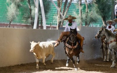 CAMPEONATO NACIONAL CHARRO SERÁ UN ÉXITO EN SLP: AMEXME