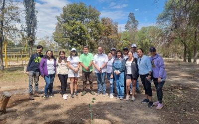 DESPEGA SLP EN CULTURA AMBIENTAL CON REFORESTACIÓN EN EL TANGAMANGA