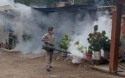 GOBIERNO ESTATAL INCREMENTA ACCIONES DE COMBATE AL DENGUE