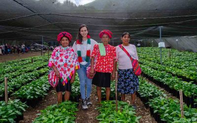 SAN LUIS POTOSÍ YA DESPEGÓ EN APOYO A PRODUCTORES DEL CAMPO