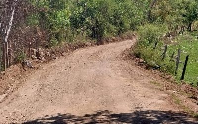 GOBIERNO REALIZA ACCIONES DE CONSERVACIÓN EN CAMINOS DE LA HUASTECA