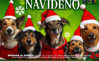 SAN LUIS POTOSÍ TENDRÁ PRIMER FESTIVAL CANINO NAVIDEÑO