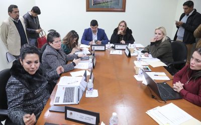 EN COMISIONES APRUEBAN LA INCORPORACIÓN DEL LLAMADO “CÓDIGO MARIPOSA” AL SISTEMA DE SALUD: DIP. YOLANDA JOSEFINA CEPEDA ECHAVARRÍA