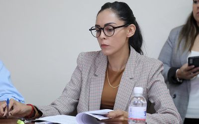 BUSCAN DAR CLARIDAD A LOS CONTRATOS DE RENTAS DE INMUEBLES: DIP. CECILIA SENLLACE OCHOA LIMÓN