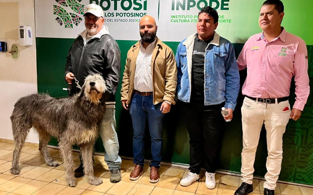 GOBIERNO INVITA A PRIMER FESTIVAL CANINO NAVIDEÑO