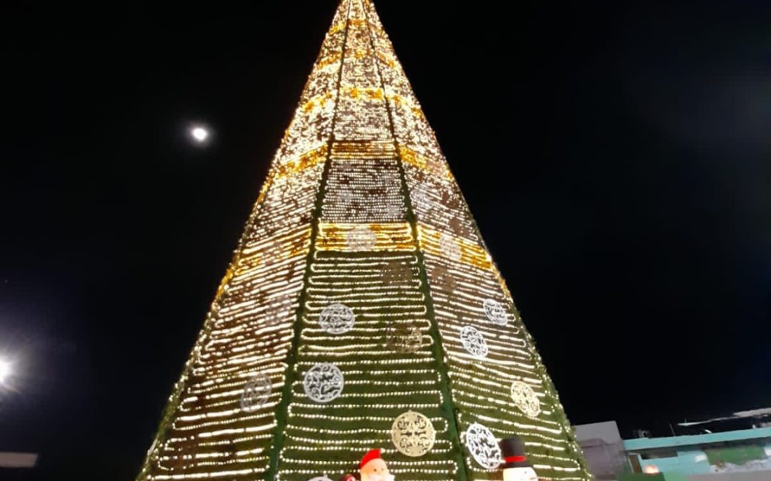 GOBIERNO INVITA AL ENCENDIDO DE ÁRBOL NAVIDEÑO EN FENAPO