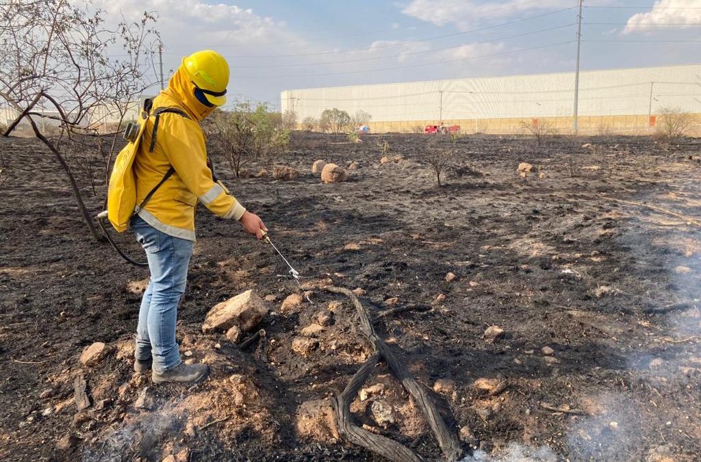 EN 2023, SE ATENDIERON 31 INCENDIOS FORESTALES