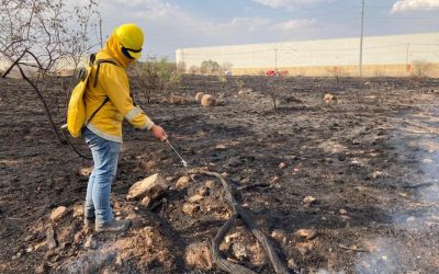 EN 2023, SE ATENDIERON 31 INCENDIOS FORESTALES