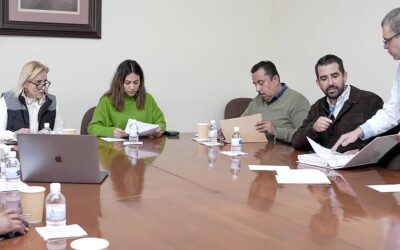 LOS MUNICIPIOS DEBEN CUMPLIR EN TIEMPO Y FORMA CON ENTREGA DE SUS LEYES DE INGRESOS: DIP. ARANZAZU PUENTE BUSTINDUI