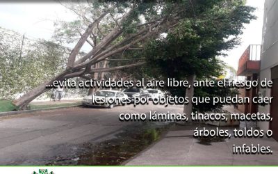 ATENTO GOBIERNO ANTE RÁFAGAS DE VIENTO EN LA ZONA METROPOLITANA