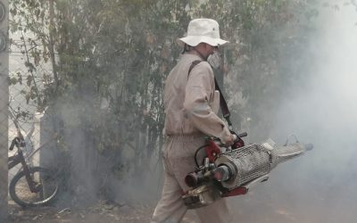 DURANTE 2024, REFORZARÁ GOBIERNO MEDIDAS CONTRA EL DENGUE EN SLP