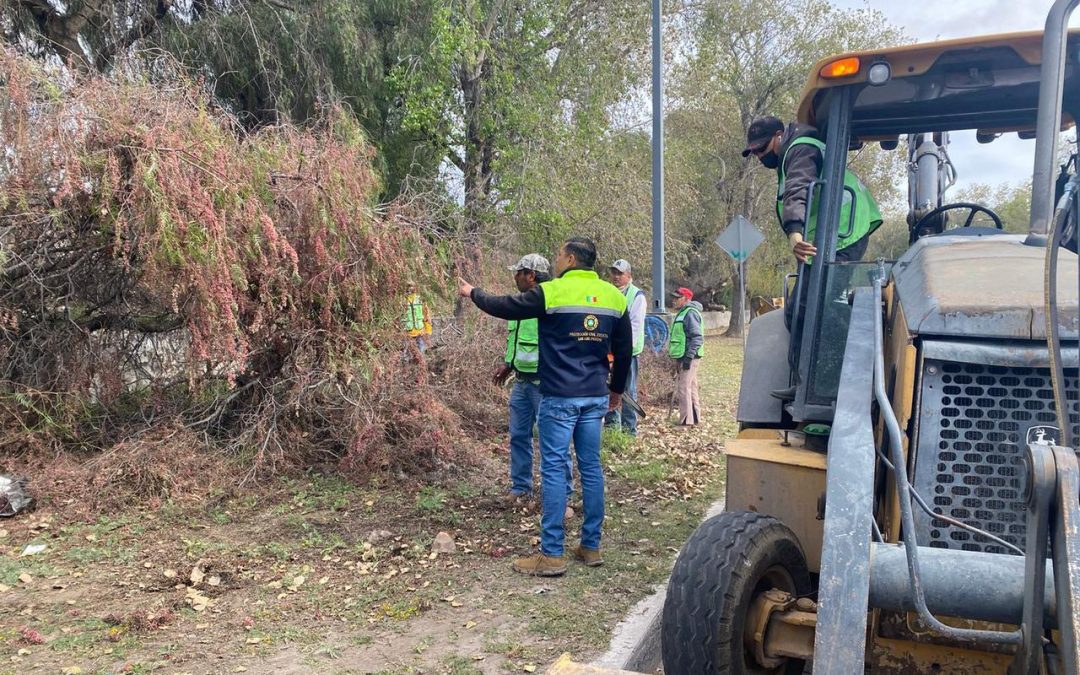 GOBIERNO ESTATAL BRINDÓ APOYO Y ATENDIÓ REPORTES POR RÁFAGAS DE VIENTO