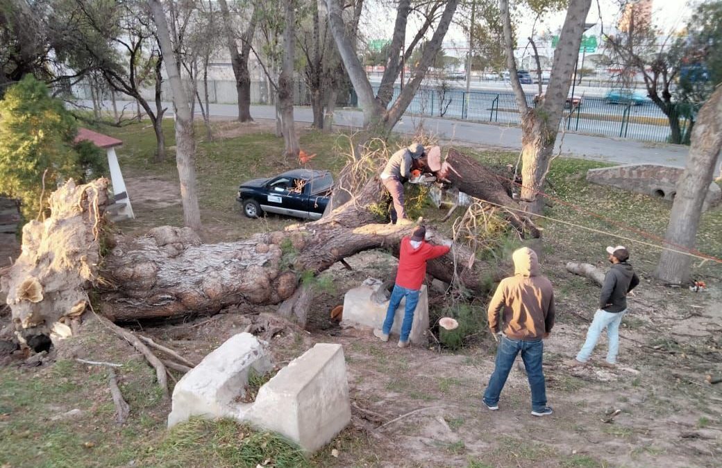 MARTES 9 DE ENERO EL TANGAMANGA I PERMANECERÁ CERRADO