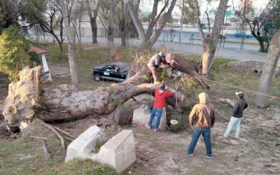 MARTES 9 DE ENERO EL TANGAMANGA I PERMANECERÁ CERRADO