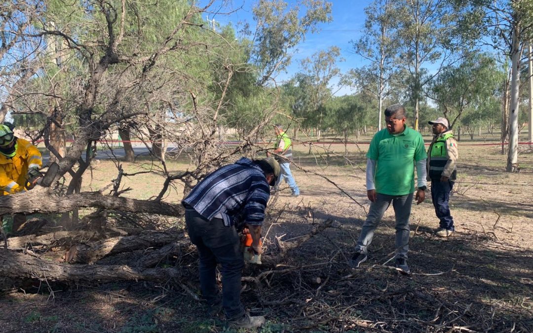 GOBIERNO ESTATAL ATENDIÓ REPORTES POR FUERTES VIENTOS