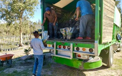 GOBIERNO IMPULSA PROYECTO AMBIENTAL EN SAN LUIS POTOSÍ