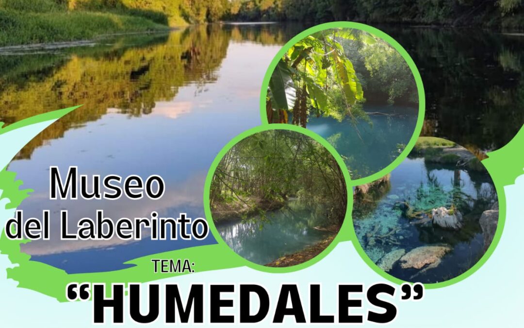 SE INVITA A PARTICIPAR EN UN TALLER SOBRE LA CONSERVACIÓN DE HUMEDALES