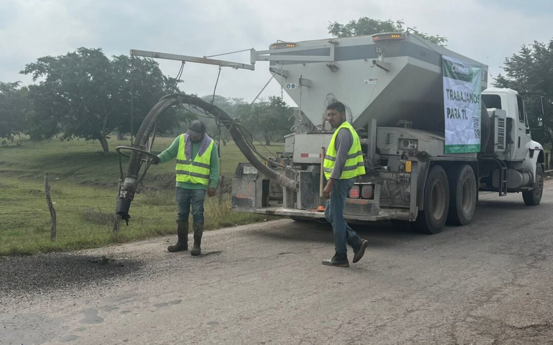 EN ESTE MES CONCLUYEN ACCIONES DE CONSERVACIÓN EN TAMUÍN