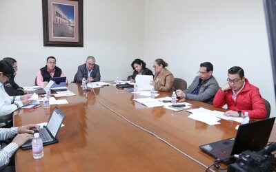 COMISIÓN DE HACIENDA DEL ESTADO APRUEBA EXHORTO A SHCP, CFE Y COMISIÓN REGULADORA DE ENERGÍA PARA VERIFICAR VIABILIDAD DE APLICAR TARIFA 1F 39 EN MUNICIPIOS DE LA ZONA HUASTECA