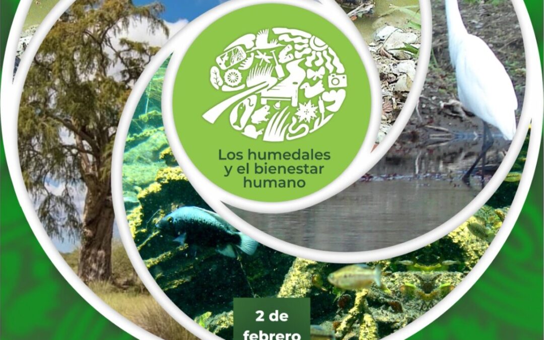 ESTE VIERNES INICIARÁN ACTIVIDADES DEL DÍA MUNDIAL DE LOS HUMEDALES