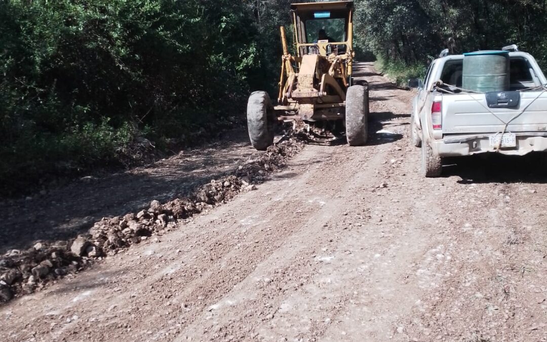 GOBIERNO MEJORA CAMINOS CAÑEROS EN TAMASOPO