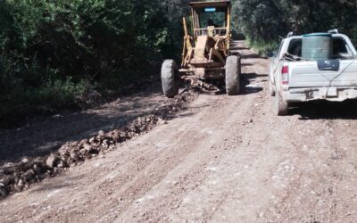 GOBIERNO MEJORA CAMINOS CAÑEROS EN TAMASOPO