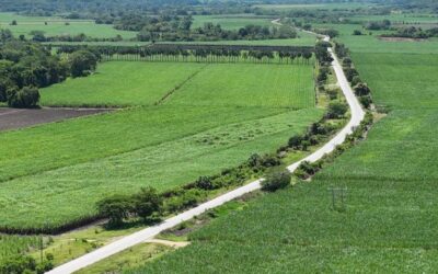 GOBIERNO ENTREGARÁ EN BREVE CARRETERA VALLES – EL NARANJO