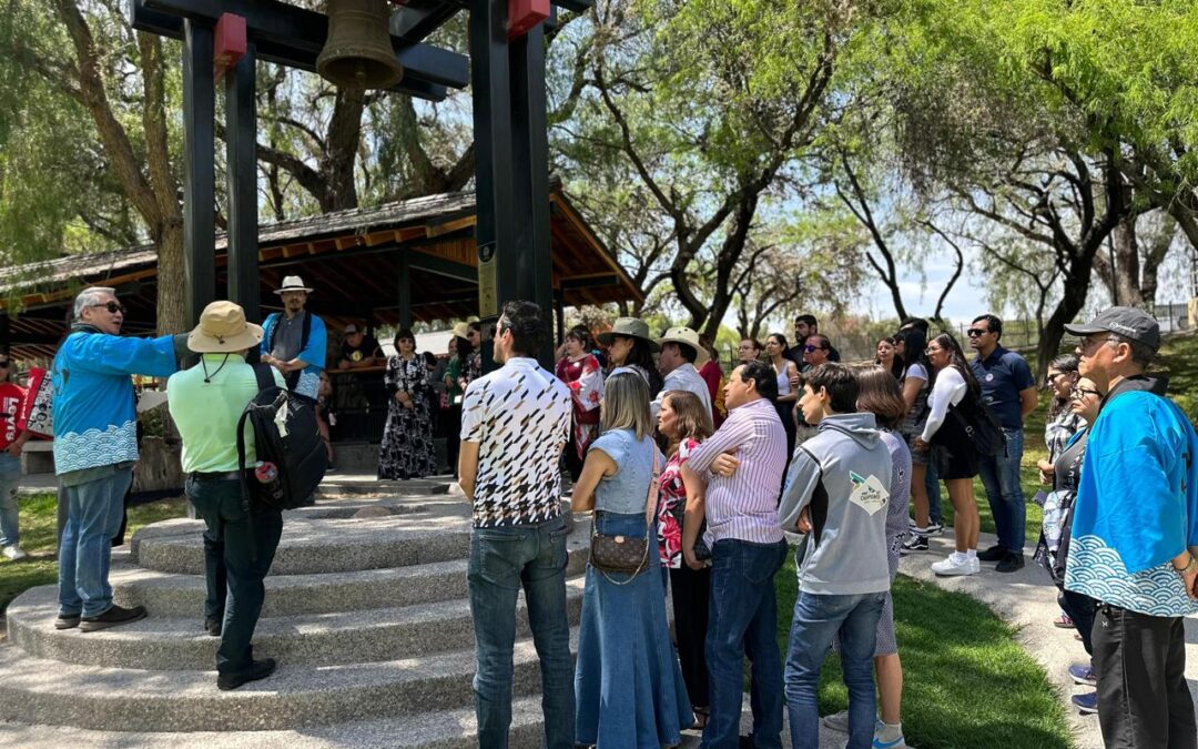 UN ÉXITO EL PICNIC JAPONÉS EN EL PARQUE TANGAMANGA I